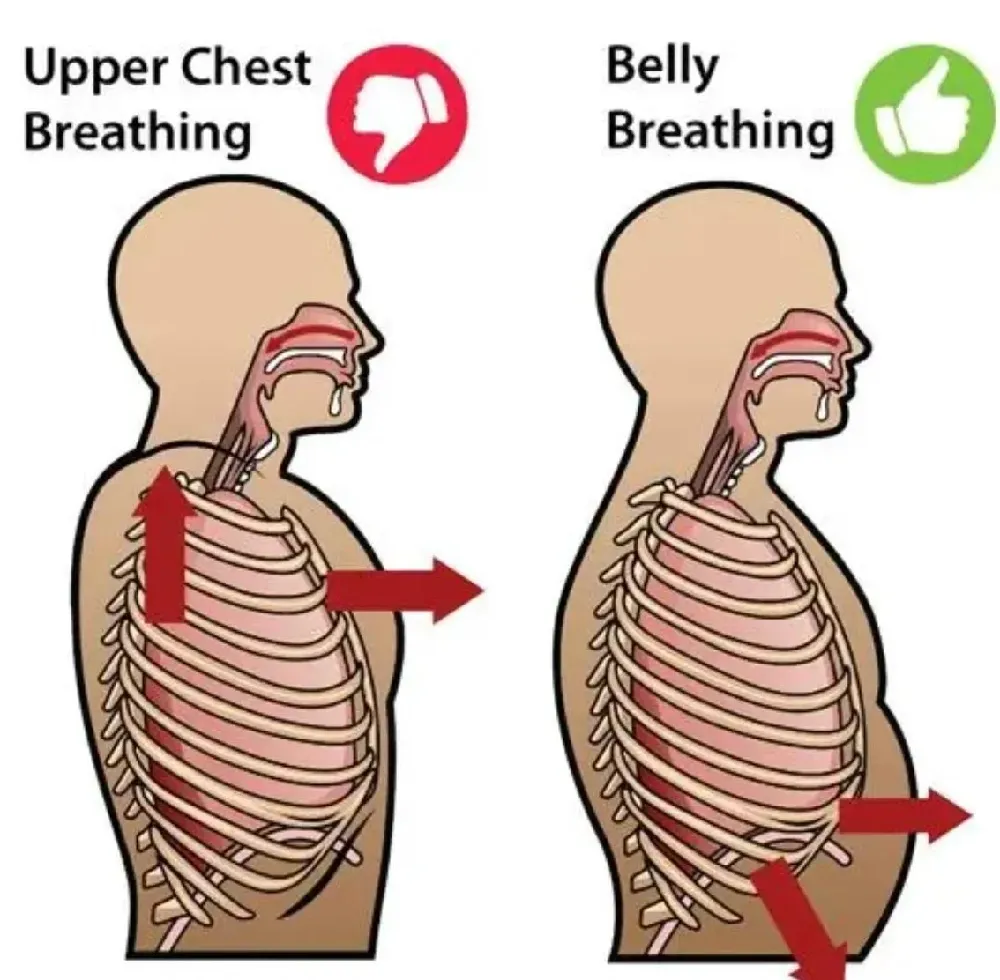 Abdominal Breathing