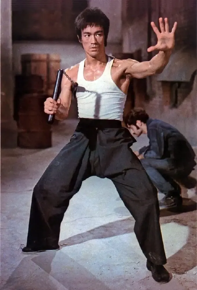 Bruce Lee Tai Chi