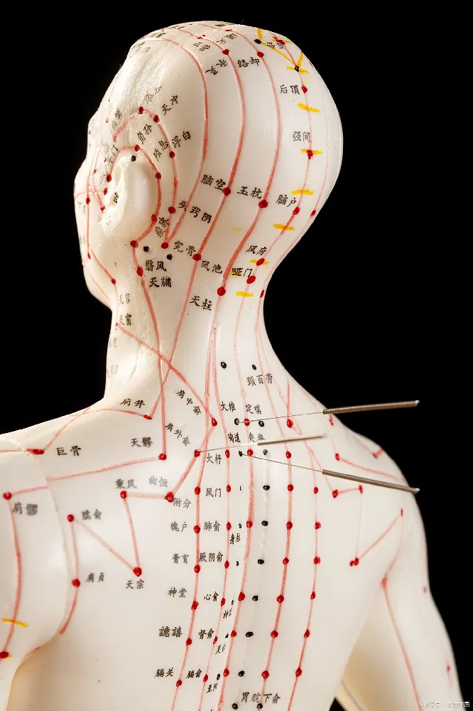 What Does the Science Actually Say? Let's Get Real.