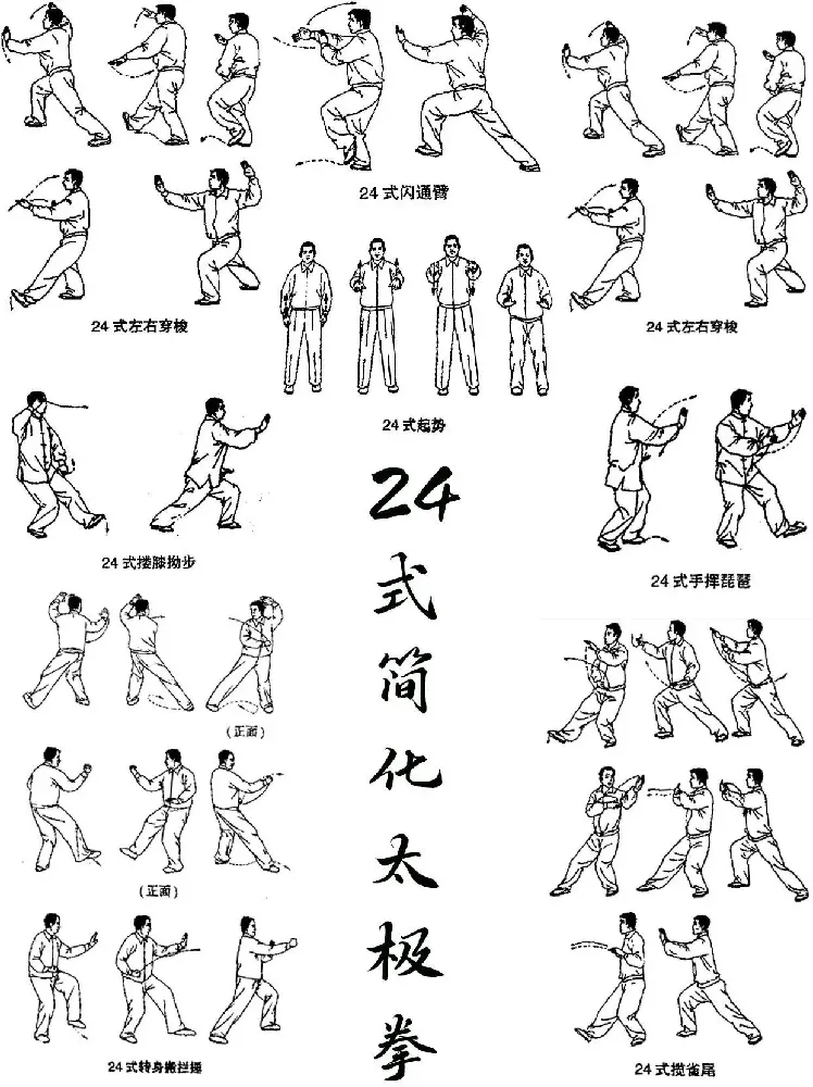 A 12‑Week Roadmap: From First Stance to Flowing Form