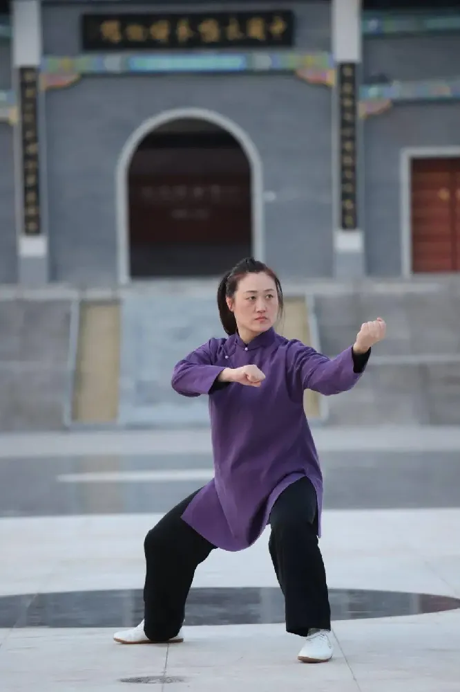 The Four Pillars of Learning Tai Chi by Yourself