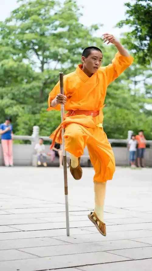 Southern Fist, Northern Leg (Nan Quan Bei Tui): The Ultimate Guide to China's Kung Fu Divide