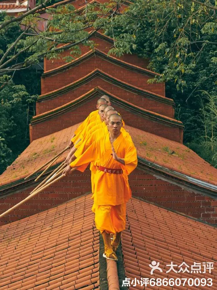 Fist vs. Foot: How Earth and Empire Forged Two Kung Fu Styles