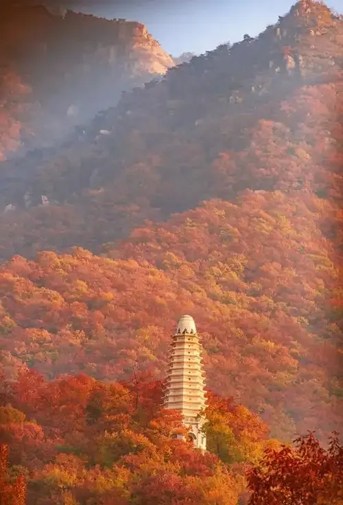 South Shaolin Kung Fu: The Cunning of the Alleyway