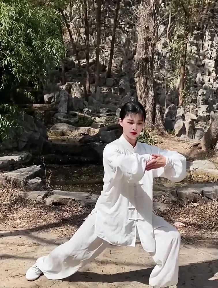 Feeling the Flow: Peng, Lu, Ji, An in “Grasp the Bird’s Tail”