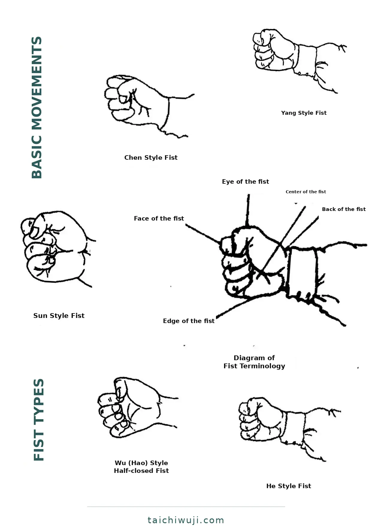 Fist forms across the major Tai Chi styles, after the commonly circulated comparison chart