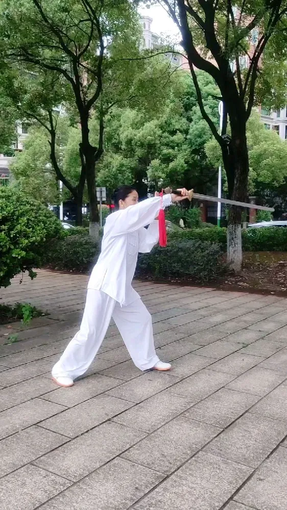How to Choose Your First Tai Chi Sword? (A Beginner's Buyer's Guide)