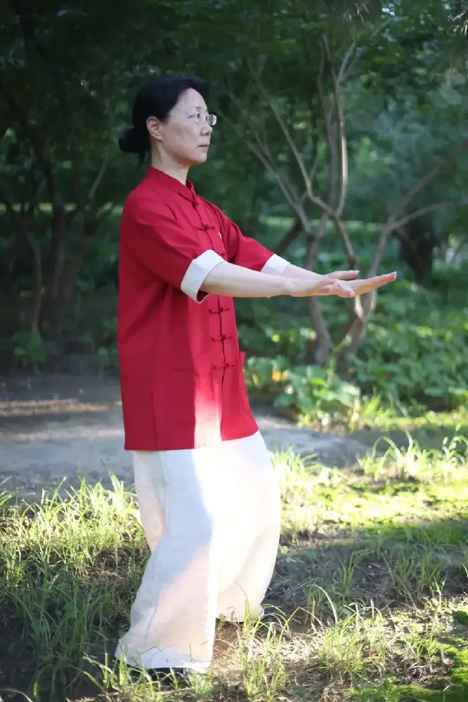The Mind-Body Code: How Your Thoughts Actually Guide Your Health in Tai Chi