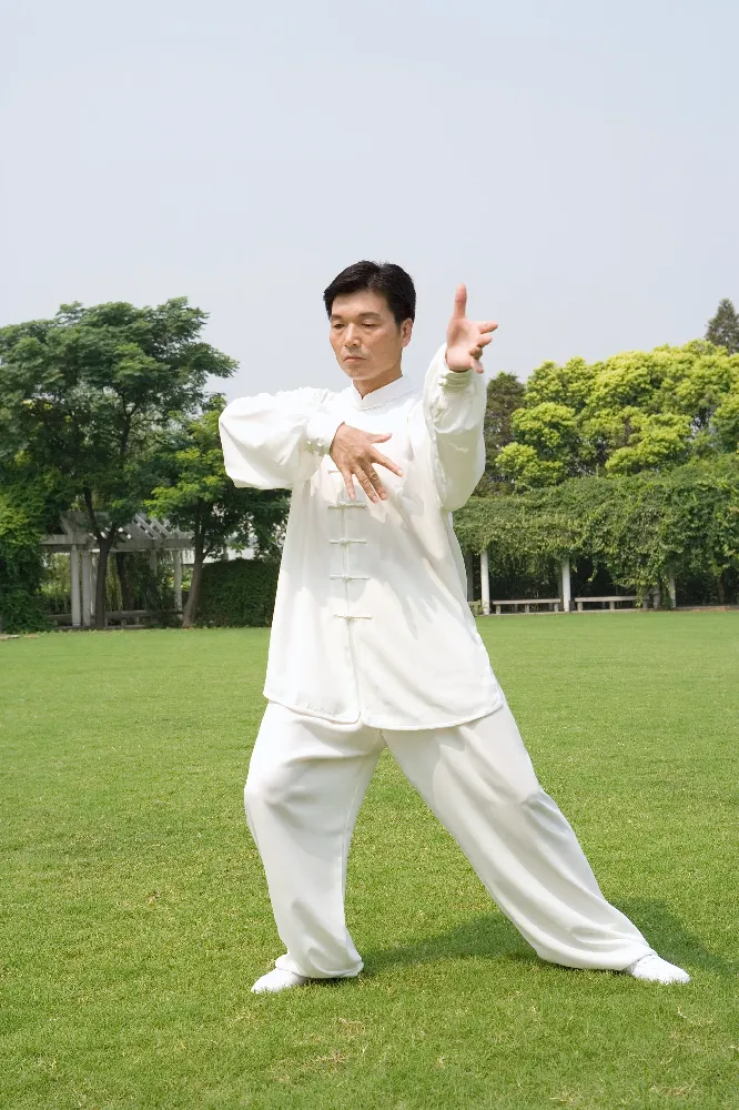 Wu Style Tai Chi: The Art of Softness, Stability, and Smart Self-Defense