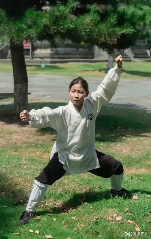 Myth vs. Reality in Wudang Combat