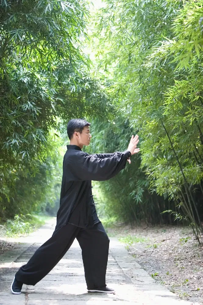 The Historical Legacy — From Chen Village to the Forbidden City