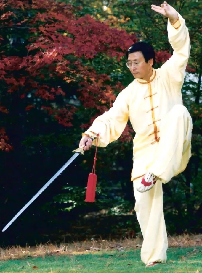 The System — Forms, Movements, and Weapons